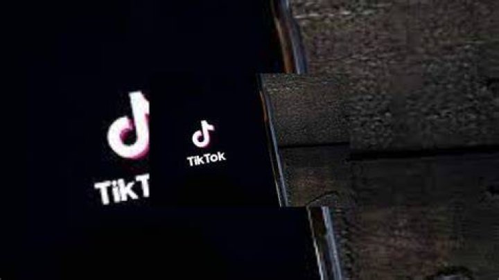 Who Is Youcantfindalex? TikTok Star Real Name, Family And Mugshot Details