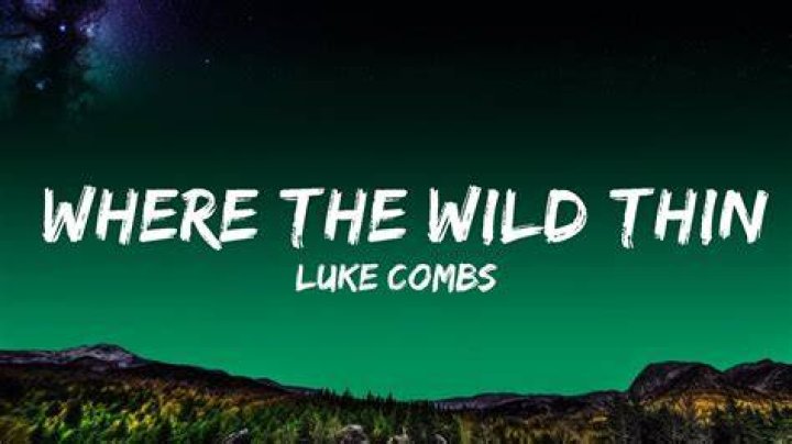 Who Masterfully Penned "Where The Wild Things Are" For Luke Combs?