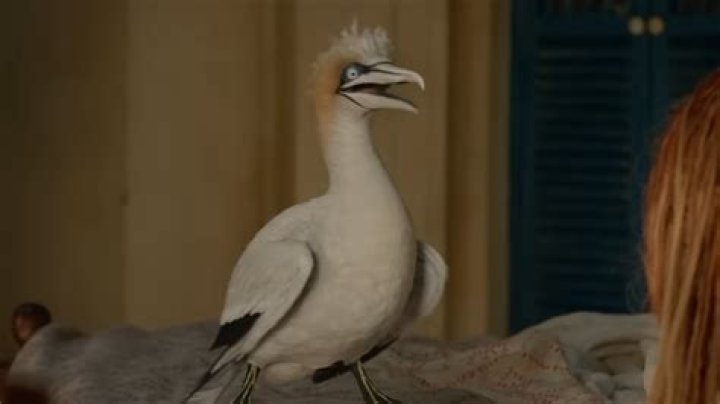 Who Plays Scuttle In The New Little Mermaid & Why Did She Receive Such Hate?