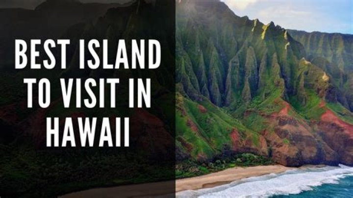 Your Go-To For Island Fare