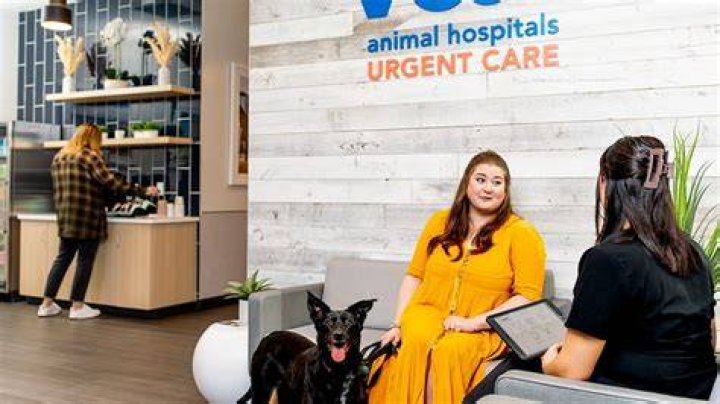 Your Local Experts In Animal Care: VCA Edgebrook Animal Hospital