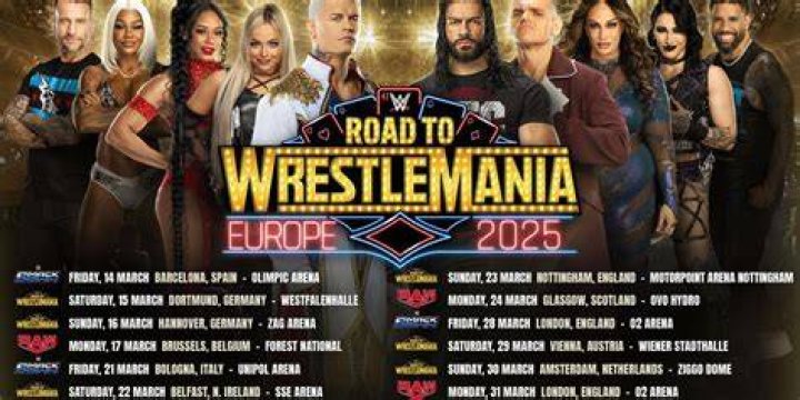Your Ticket To The World Of WWE
