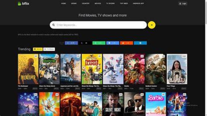 Your Ultimate Guide To Bflix