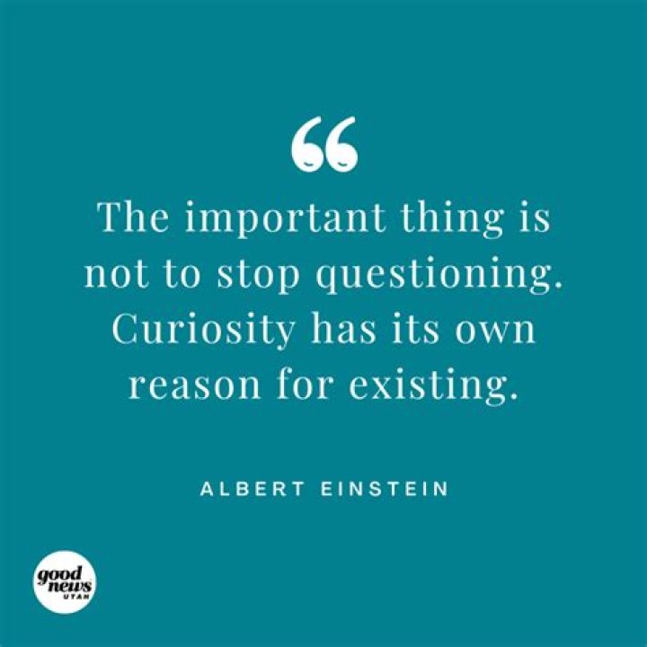 Your Unforgettable Guide To Curiosity