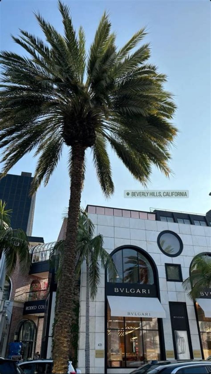 Zach Purchases A Beverly Hills Lifestyle