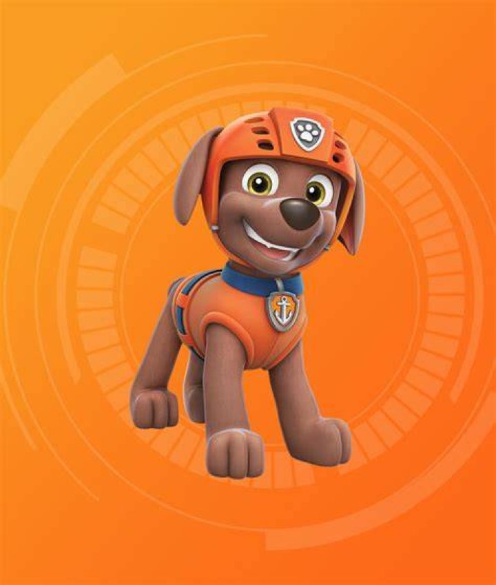 Zuma Paw Patrol's Epic Catchphrase: Dive In, Save The Day!